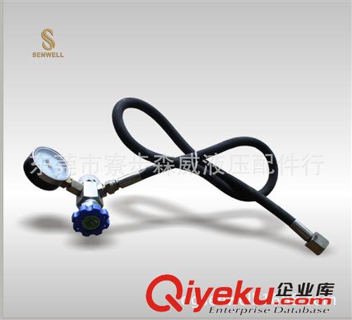 液壓蓄能器 供應東莞液壓皮囊式蓄能器CQJ型充氣工具原始圖片3