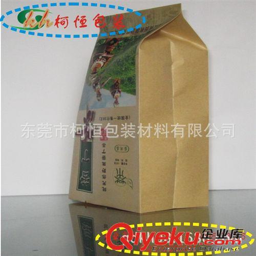 直立袋 供應(yīng)紙塑干果袋|鋁箔干果包裝袋|真空干果包裝袋廠家