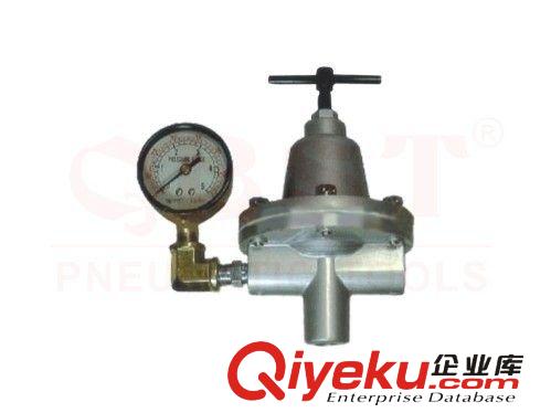 涂裝工具 供應(yīng)涂料過濾器