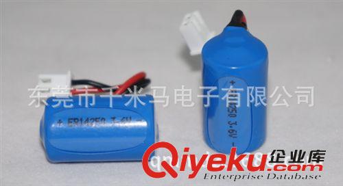 鋰亞電池 廠家直供 高品質 ER14250T智能水表一次鋰亞電池3.6V 1200mah原始圖片2