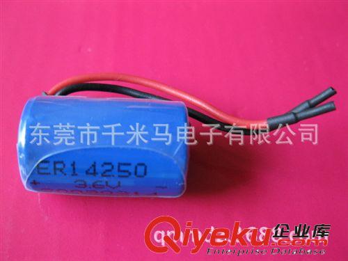 鋰亞電池 廠家直供 高品質(zhì) ER14250H智能水表一次鋰亞電池3.6V 1200mah