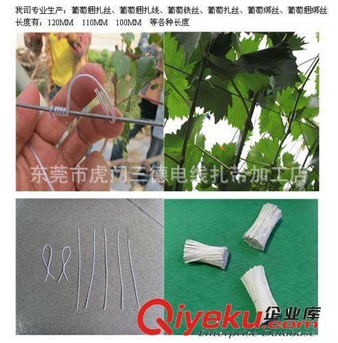 PE  PVC鐵芯迷你線(xiàn) 【精品直銷(xiāo)】供應(yīng)多色高品質(zhì)堅(jiān)固耐用葡萄扎絲 扎線(xiàn)薄利多銷(xiāo)