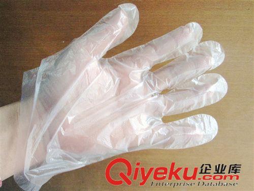 勞保用品 一次性衛(wèi)生塑料手套 PE薄膜手套原始圖片3