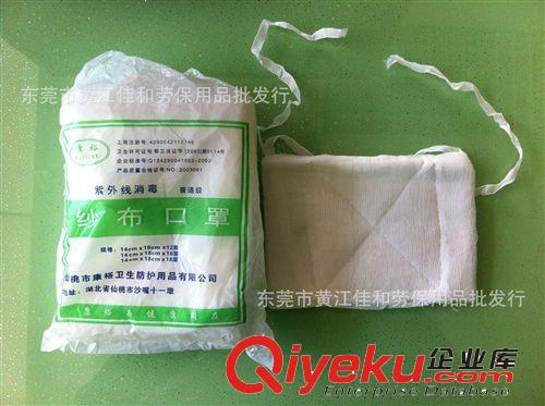 防護口罩系列 防毒口罩 東莞防毒口罩 工業(yè)防毒口罩 防毒面具