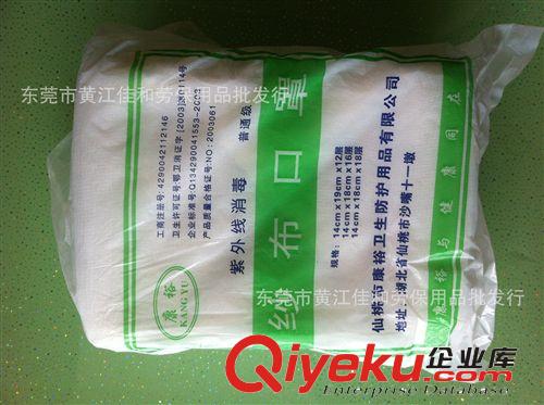 防護(hù)口罩系列 廠家直銷一次性口罩 東莞一次性口罩 防塵防病毒口罩 無紡布口罩