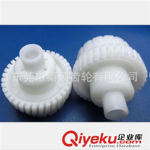 蝸輪 東莞市秦碩供應(yīng)M0.6POM塑膠蝸輪耐磨損低噪音價(jià)格優(yōu)廠家直銷原始圖片3