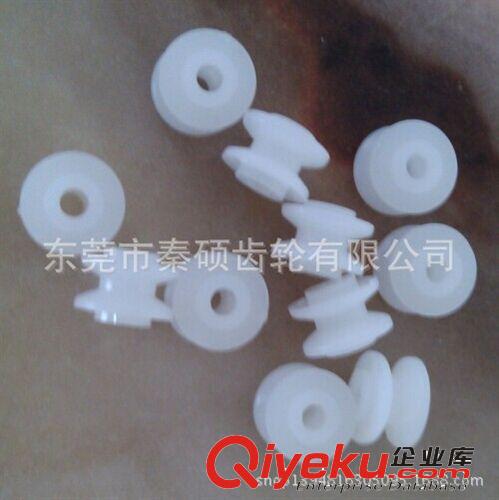 帶輪 供應塑料皮帶輪現貨  直徑19.5POM皮帶輪原始圖片3