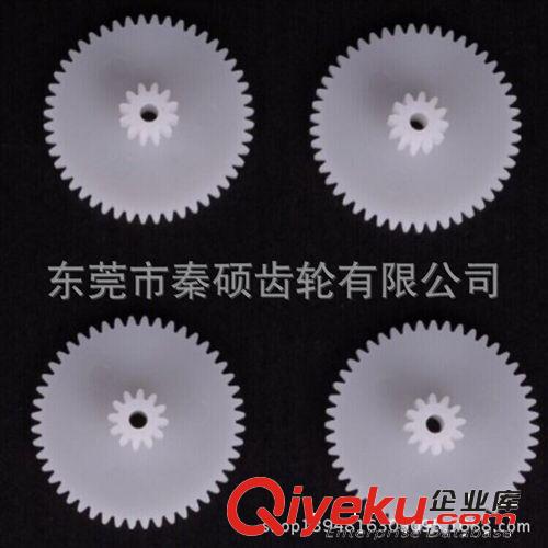 齒輪 東莞市秦碩供應M0.3小模數精密塑料齒輪耐磨損低噪音價格優自潤滑