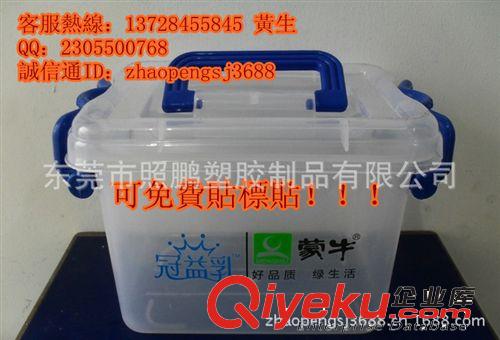 整理箱、收納箱 東莞實(shí)力廠家 供應(yīng)上海產(chǎn)品包裝專用塑料整理箱 PP塑膠帶蓋手提箱原始圖片3