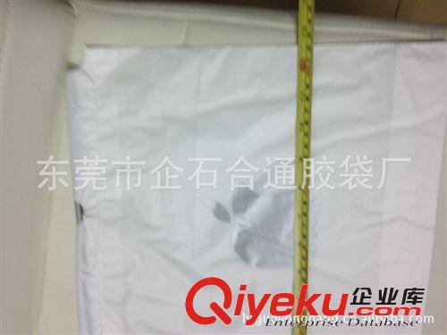 塑料包裝袋 【廠家現(xiàn)貨出售】蘋果(Apple) Ipad電腦束口.穿繩袋 10個(gè)起賣.原始圖片3