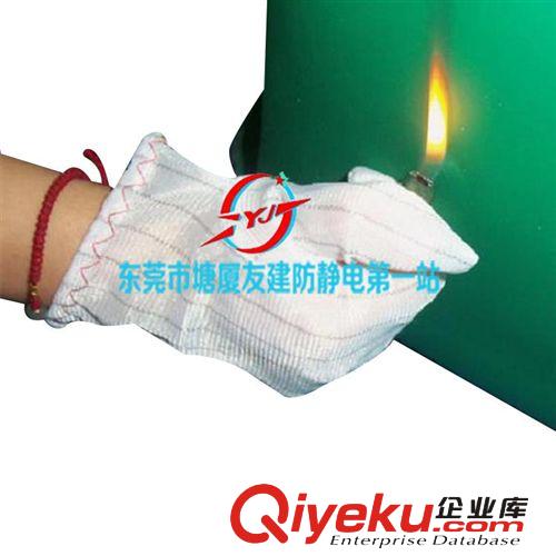 防靜電手套 高品質廠家直銷 尼龍手套 13針尼龍手套 白色無塵手套