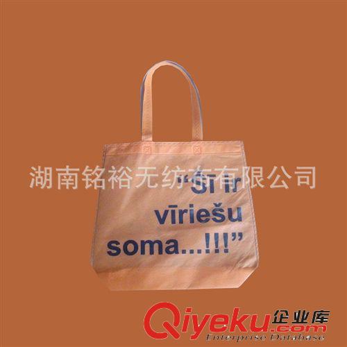 無紡布購物袋 新品展示 【優質供應商】量大從優 供應 優質無紡布廣告袋原始圖片3