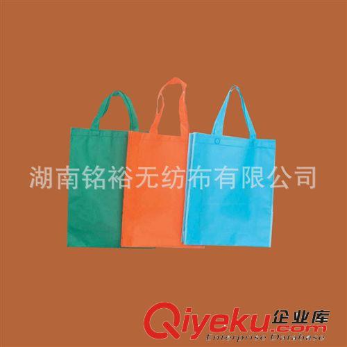 無紡布購物袋 新品展示 【優(yōu)質(zhì)供應(yīng)商】供應(yīng)多種型號的 【質(zhì)量保證】PP無紡布袋