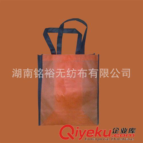 無紡布購物袋 新品展示 l【優(yōu)質(zhì)供應(yīng)商】l大量供應(yīng)優(yōu)質(zhì)的 【1件起批】無紡布袋原始圖片3