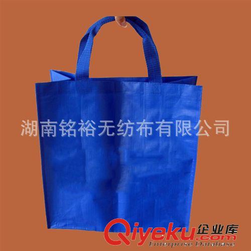 無紡布禮品、廣告袋 無紡布廣告袋 阿里優(yōu)質(zhì)廠家定做廣告袋 環(huán)保廣告袋 手提廣告袋