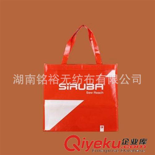 無紡布禮品、廣告袋 l供應(yīng)多種型號的 【質(zhì)量保證】  無紡布禮品、廣告袋