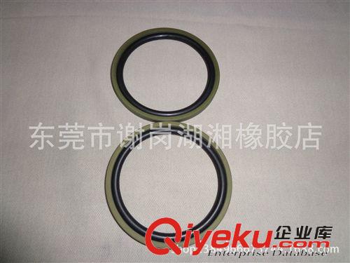 油封類 PG型活塞密封是由PTFE活塞密封環和O型圈組成用于液壓油缸的密封