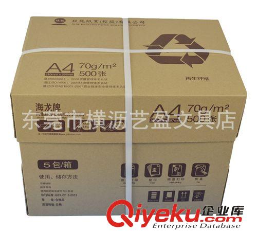 紙質(zhì)用品 全國包郵 廠家直銷海龍A4打印紙80g 復(fù)印紙 500張/包 01010219