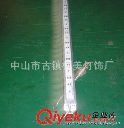 LED線條燈 【廠家直銷】LED防水線條燈 高亮度防水直插式LED裝飾燈定制批發