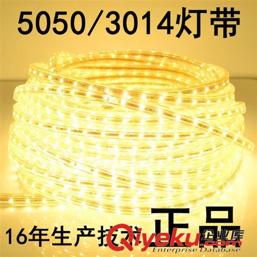 微亮照明LED投光燈 中山市燈帶廠家 寬版燈帶 LED并聯5050 RGB彩燈條、5050燈條批發原始圖片2