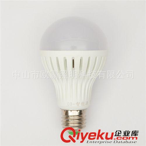 LED球泡灯 led球泡灯 led灯泡 LED节能灯泡 E27螺口塑料球泡灯 厂家直销