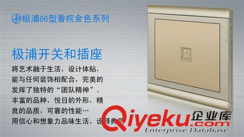極浦香檳金開關插座 {qg}網絡信息插座面板墻壁開關鋼制底板香檳金86型暗裝全國聯保原始圖片3