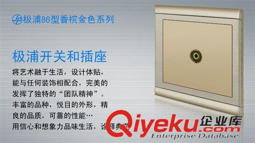 极浦香槟金开关插座 【诚招全国代理商】电视插座 86暗装香槟金插座批发 有线电视插