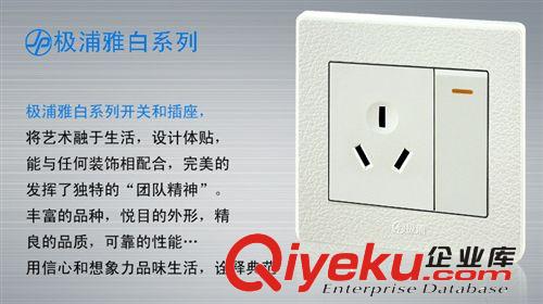 極浦皮紋白開關插座 廠家直銷極浦墻壁插座 一開單控帶16A空調插座面板開關 皮紋系列原始圖片2