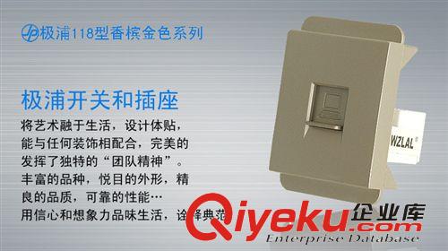 極浦118皮紋金開關(guān)插座 118型開關(guān)/118型插座電腦插座開關(guān)插座118型開關(guān)插座原始圖片2
