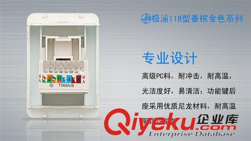 極浦118皮紋金開關(guān)插座 118型開關(guān)/118型插座電腦插座開關(guān)插座118型開關(guān)插座原始圖片3