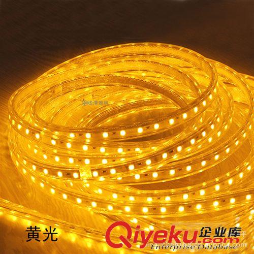 LED燈帶/日光管 【極浦】專業(yè)生產5050LED貼片高壓燈帶 60珠防水LED燈條 RGB七彩原始圖片3