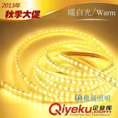 LED燈帶/日光管 【極浦】超亮5730 LED燈帶 高壓220V防水燈條家用工程裝飾軟燈條原始圖片2
