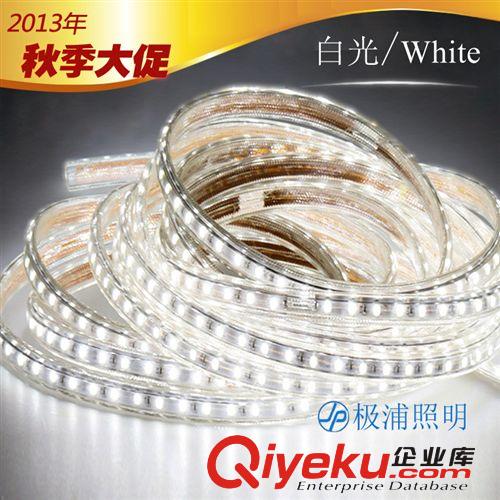 LED燈帶/日光管 【極浦】超亮5730 LED燈帶 高壓220V防水燈條家用工程裝飾軟燈條原始圖片3