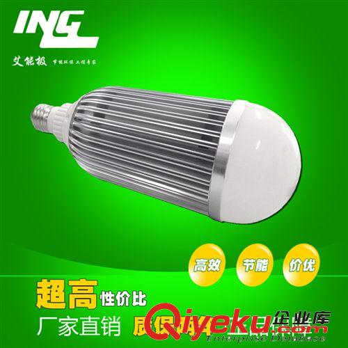 led球泡燈 廠家直銷 車鋁LED球泡燈 21WLED節能燈具