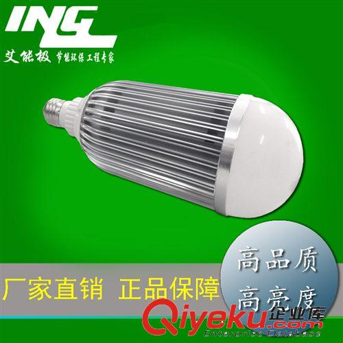 led球泡燈 廠家直銷 車鋁LED球泡燈 21WLED節能燈具