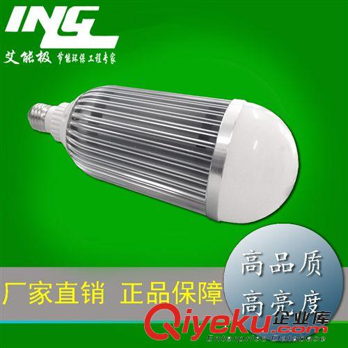 led球泡燈 廠家直銷 車鋁LED球泡燈 21WLED節能燈具