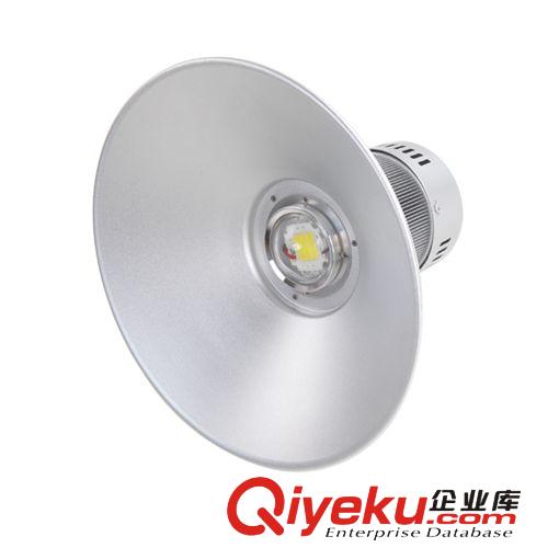 按類型 愛斯蘭LED30W工礦燈罩全鋁燈罩廠房工廠車間照明節(jié)能吊燈DD-01原始圖片2