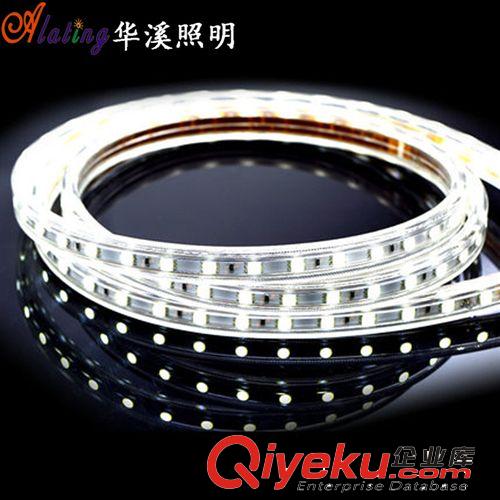 LED燈帶 批發 LED燈帶2835雙排寬版180珠 廠家led光帶 LED燈條 高亮度原始圖片2