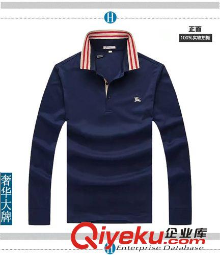 阿里客戶加工定做樣品 外貿訂單專業(yè)貼牌生產(chǎn)加工定制2014秋裝新款男式純棉翻領polo衫