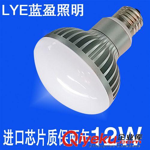 藍(lán)盈LED球泡燈 專業(yè)廠家供應(yīng)led球泡燈 led燈泡 球泡燈 led塑包鋁 7W 9W 高品質(zhì)