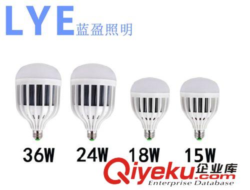 藍盈LED球泡燈 藍盈廠家直銷工程版大功率led燈泡使用壽命長環(huán)保節(jié)能 歡迎選購原始圖片2