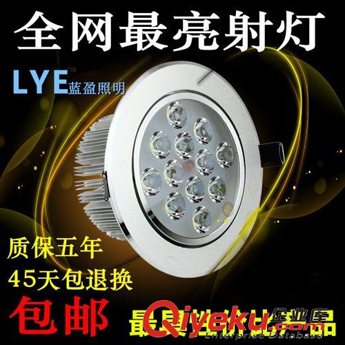 藍(lán)盈LED天花燈射燈 大功率 射燈 服裝店 led 天花燈 12w/15w/18w 24w 珠寶射燈 筒燈