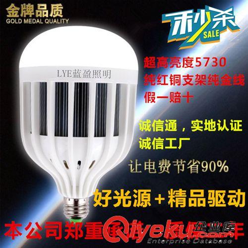 藍盈LED光源類 大功率led球泡燈 led塑料球泡燈 15W 18W 24W 36W 50W 球泡燈