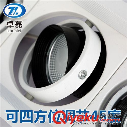 商業(yè)照明 卓磊  cob射燈5w10w20w多功率商場會所工作室等led商業(yè)照明節(jié)能燈原始圖片3
