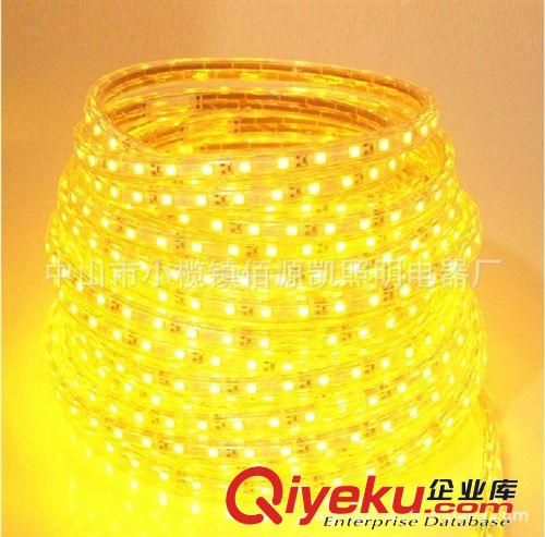 led燈帶 佰源凱供應220V高壓led貼片燈帶 5050兩平針節能環保led燈條批發