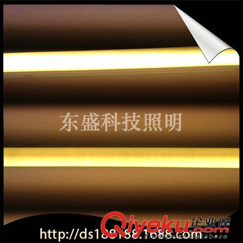 商家推薦 LED日光燈廠家專業供應led日光管 LED節能日光燈 LED日光燈管原始圖片2