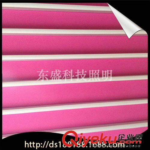 商家推薦 LED日光燈廠家專業供應led日光管 LED節能日光燈 LED日光燈管原始圖片3