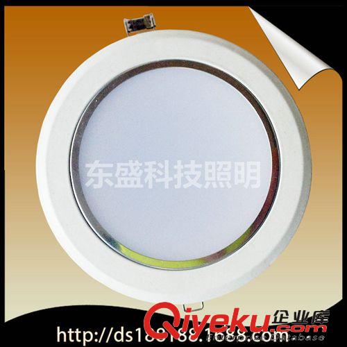 LED投光燈 專業供應 6—50WLED投光燈  東盛照明LED投光燈