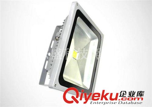 LED投光燈 專業(yè)供應 10W-200WLED投光燈  東盛照明LED投光燈原始圖片2