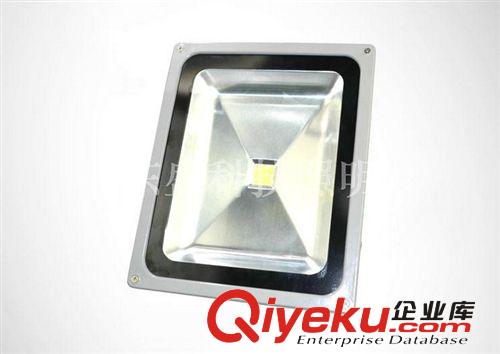 LED投光燈 專業(yè)供應 10W-200WLED投光燈  東盛照明LED投光燈原始圖片3